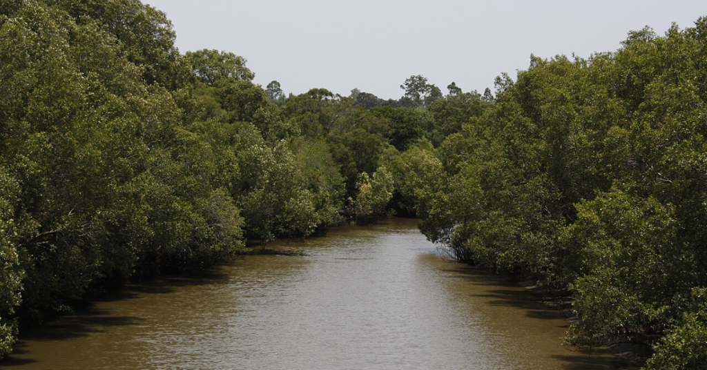 Oxley Creek